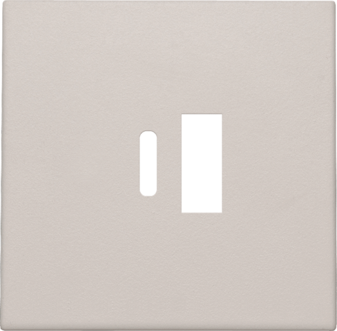 [NK102-68002] Set de finition double chargeur usb-a et usb-c intelligent light grey