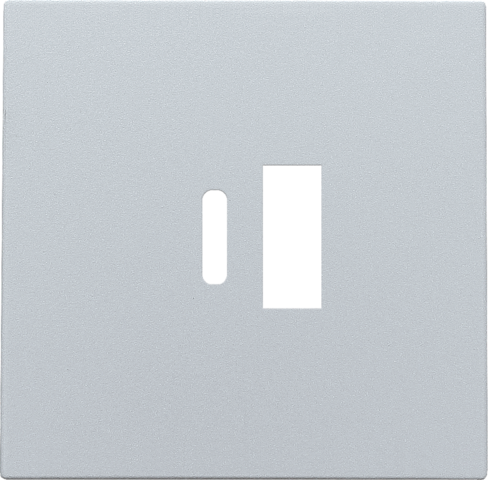 [NK121-68002] Set de finition double chargeur usb-a et usb-c intelligent