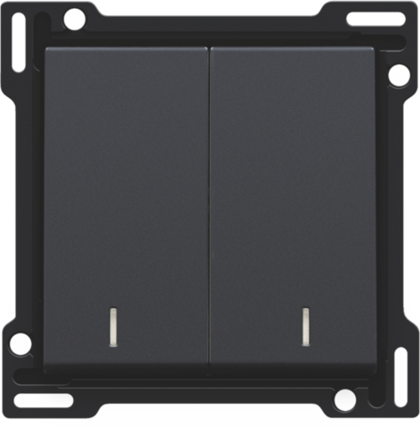 Set de finition interrupteur double allum./va-et-vient (double) anthracite coated