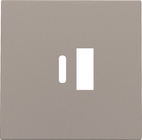 [NK123-68002] Set de finition double chargeur usb-a et usb-c intelligent