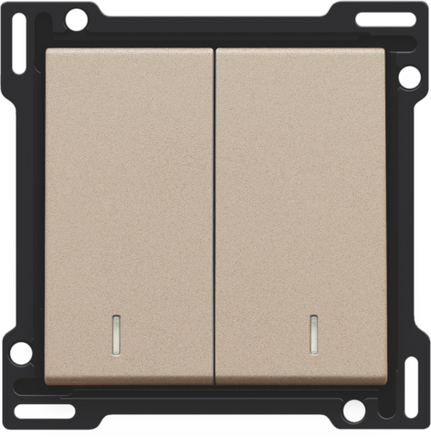 Set de finition interrupteur double allum./va-et-vient (double) champagne coated