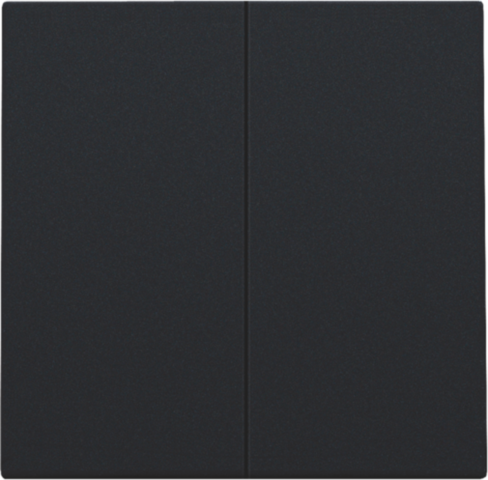 Set de finition interrupteur ou bouton-poussoir double électr. steel black coated Niko Home Control