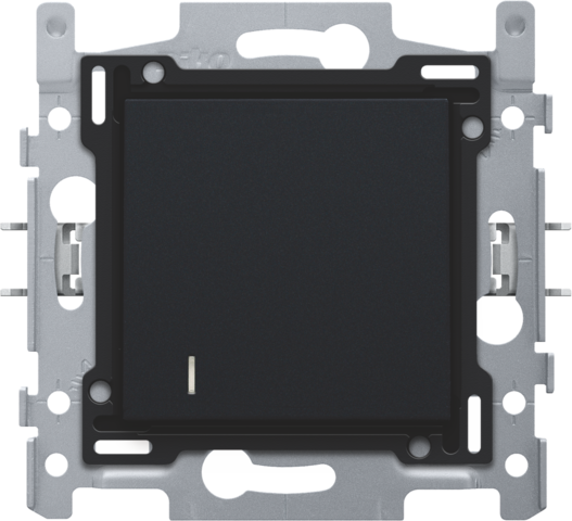 Interrupteur pour cartes d'hôtel 10a, assemblé, bornes à vis steel black coated