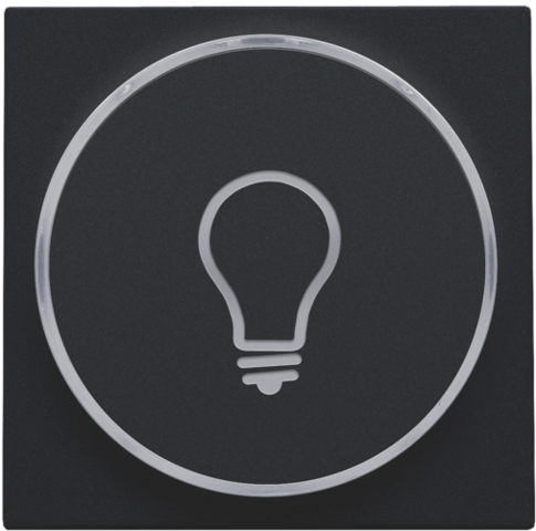 Finition avec symbole lampe pr bouton-poussoir 6a avec culot e10 black coated steel black coated Niko Pure