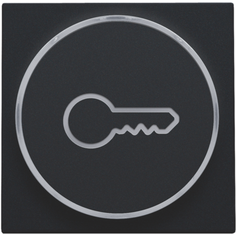 Finition avec symbole clé pour bouton-poussoir 6a avec culot e10 black coated steel black coated Niko Pure