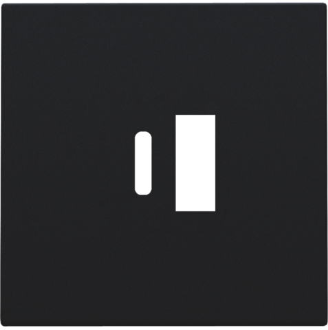 [NK161-68002] Set de finition double chargeur usb-a et usb-c intelligent steel black coated