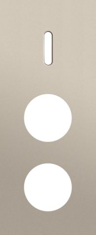 Plaque trpl v60 pr commut smpl + 2 prises,niko rocker steel champagne coated Niko Rocker