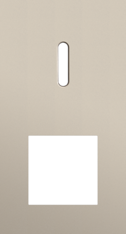 Plaque dbl v71 pr commut smpl + fct,niko rocker steel champagne coated Niko Rocker