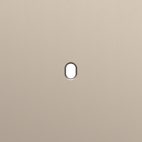 Plaque smpl pr 1 commut smpl,niko toggle steel champagne coated Niko Toggle