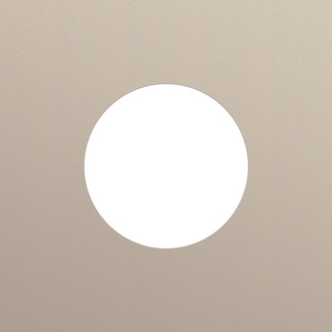 Plaque smpl pr 1 prise,niko r&t steel champagne coated