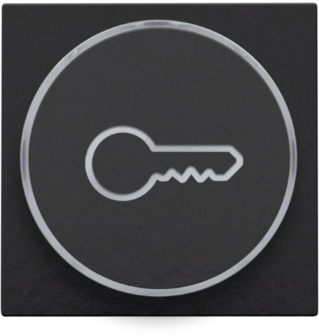 Finition avec symbole clé pour bouton-poussoir 6a avec culot e10 piano black coated Bakelite® piano black Niko Pure