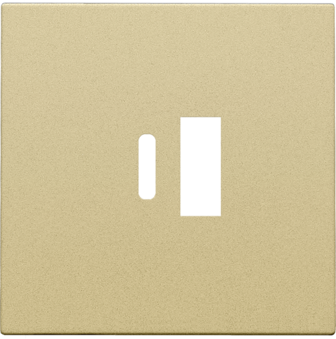 [NK221-68002] Set de finition double chargeur usb-a et usb-c intelligent