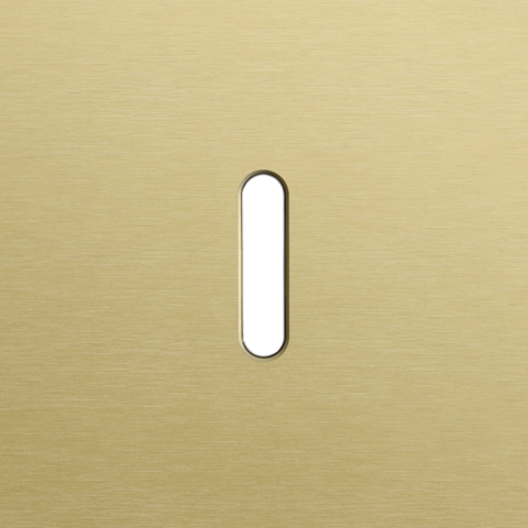 Plaque smpl pr 1 commut smpl,niko rocker alu gold brushed Niko Rocker