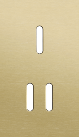 Plaque dbl v60 pr 1 commut smpl + 1 commut dbl,niko rocker alu gold brushed Niko Rocker