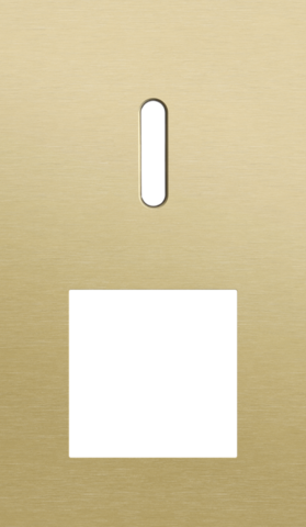 Plaque dbl v60 pr commut smpl + fct,niko rocker alu gold brushed Niko Rocker