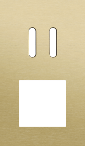 Plaque dbl v60 pr commut dbl + fct,niko rocker alu gold brushed Niko Rocker