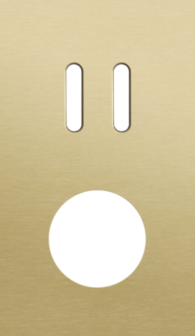 Plaque dbl v60 pr commut dbl + prise,niko rocker alu gold brushed Niko Rocker