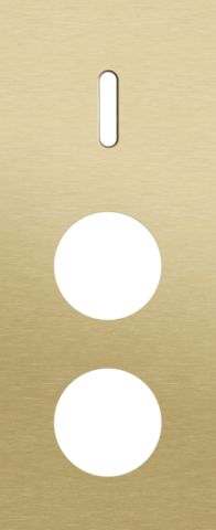 Plaque trpl v60 pr commut smpl + 2 prises,niko rocker alu gold brushed Niko Rocker