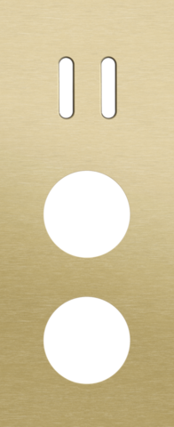 Plaque trpl v60 pr commut dbl + 2 prises,niko rocker alu gold brushed Niko Rocker