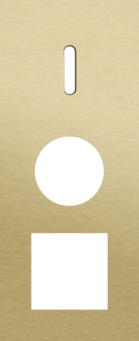 Plaque trpl v60 pr commut smpl + prise + fct,niko rocker alu gold brushed Niko Rocker