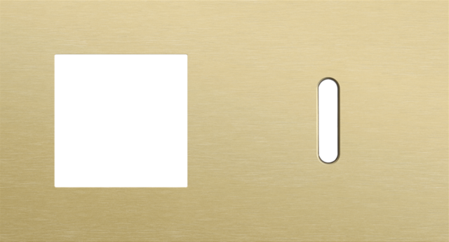 Plaque dbl h71 pr fct + commut smpl,niko rocker alu gold brushed Niko Rocker