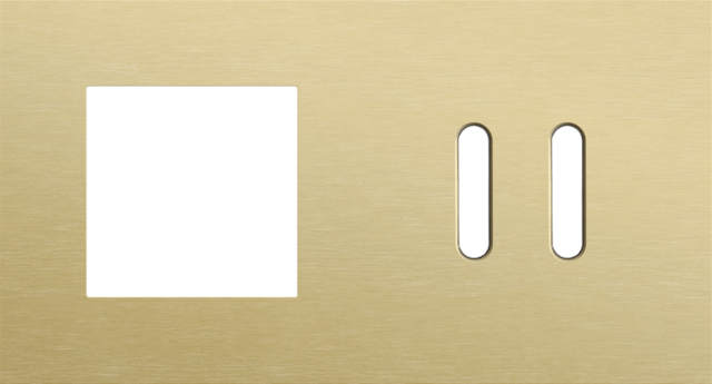 Plaque dbl h71 pr fct + commut dbl,niko rocker alu gold brushed Niko Rocker