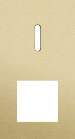 Plaque dbl v71 pr commut smpl + fct,niko rocker alu gold brushed Niko Rocker