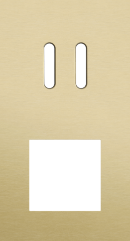 Plaque dbl v71 pr commut dbl + fct,niko rocker alu gold brushed Niko Rocker