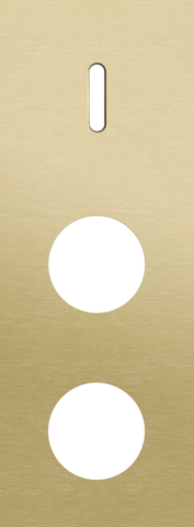 Plaque trpl v71 pr commut smpl + 2 prises,niko rocker alu gold brushed Niko Rocker