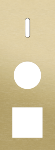 Plaque trpl v71 pr commut smpl + prise + fct,niko rocker alu gold brushed Niko Rocker