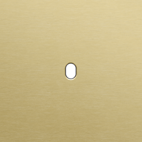 Plaque smpl pr 1 commut smpl,niko toggle alu gold brushed Niko Toggle