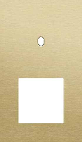 Plaque dbl v60 pr commut smpl + fct,niko toggle alu gold brushed Niko Toggle