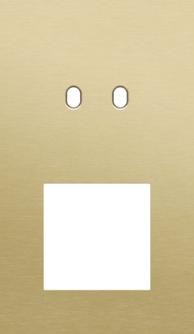 Plaque dbl v60 pr commut dbl + fct,niko toggle alu gold brushed Niko Toggle