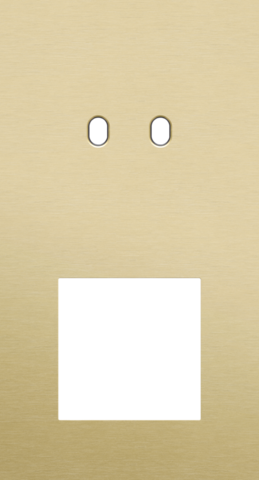 Plaque dbl v71 pr commut dbl + fct,niko toggle alu gold brushed Niko Toggle