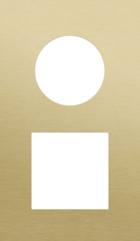 Plaque dbl v60 pr prise + fct,niko r&t alu gold brushed