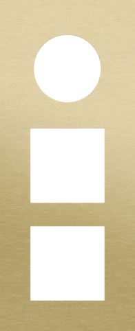 Plaque trpl v60 pr prise + 2 fct,niko r&t alu gold brushed