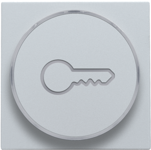 Finition avec symbole clé pour bouton-poussoir 6a avec culot e10 sterling coated