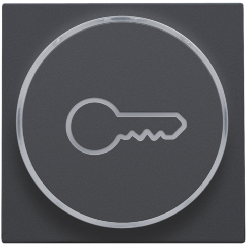 Finition avec symbole clé pour bouton-poussoir 6a avec culot e10 anthracite coated