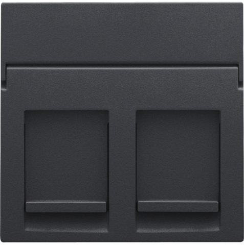 Enjoliveur data 2x rj