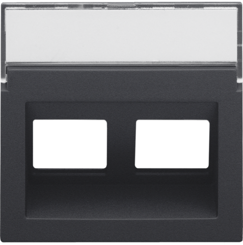 Enjoliveur data 2x rj, sortie oblique