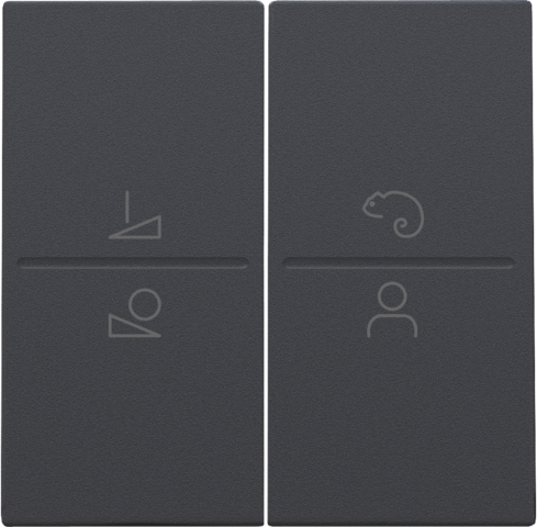 Set de finition pour commande led avec interrupteur sans fil anthracite coated