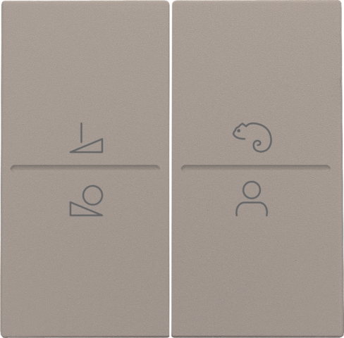 Set de finition pour commande led avec interrupteur sans fil bronze coated