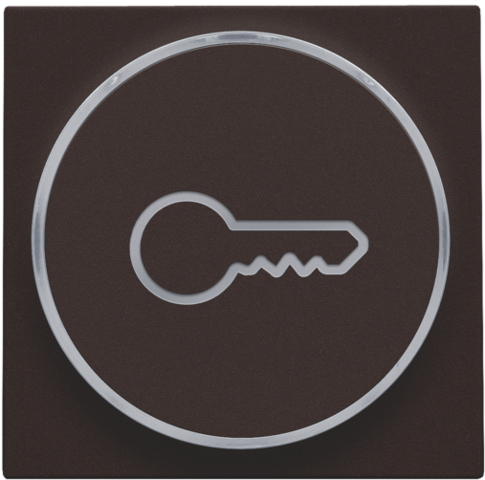 Finition avec symbole clé pour bouton-poussoir 6a avec culot e10 dark brown coated