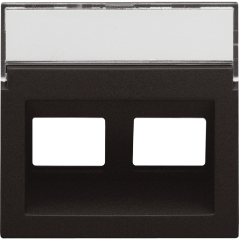 Enjoliveur data 2x rj, sortie oblique