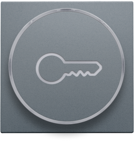 Finition avec symbole clé pour bouton-poussoir 6a avec culot e10 blue grey coated