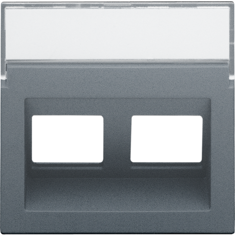 Enjoliveur data 2x rj, sortie oblique