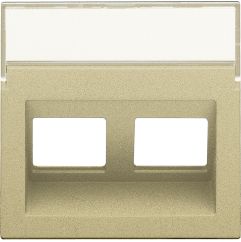 Enjoliveur data 2x rj, sortie oblique