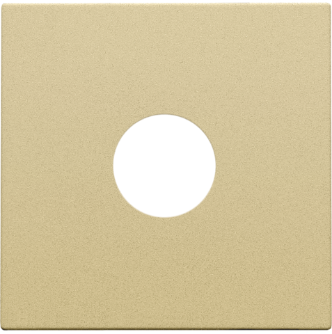 Set de finition connexion coaxiale simple pour tv, pure gold