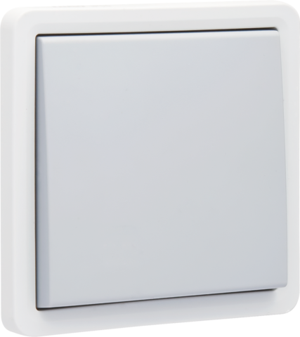 Bouton-poussoir non éclairable étanche, 10a, 4 bornes, vis gris