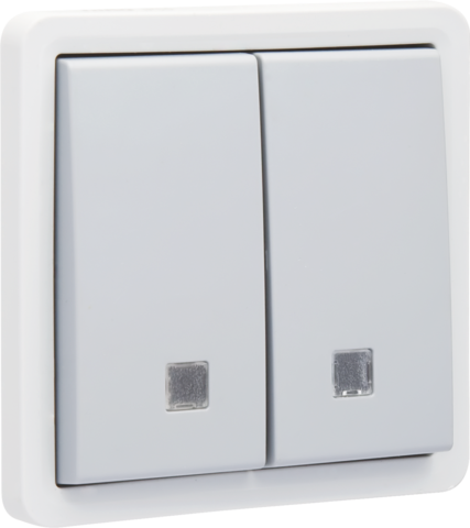 [NK700-35100] Bouton-pouss. double éclairable étanche 10a, no/nc, bornes à vis gris